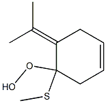 (Tetrahydro-3-isopropylidene-2-methylthiophen)-2-yl hydroperoxide Struktur