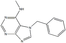 6-Methylamino-7-benzyl-7H-purine Struktur