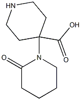 2-Oxo-1,4'-bipiperidine-4'-carboxylic acid Struktur