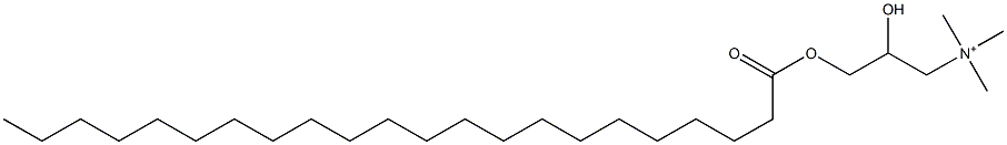 2-Hydroxy-N,N,N-trimethyl-3-[(1-oxodocosyl)oxy]-1-propanaminium Struktur