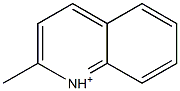 2-Methylquinolinium Struktur