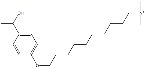 Trimethyl[10-[p-(1-hydroxyethyl)phenyloxy]decyl]aminium Struktur