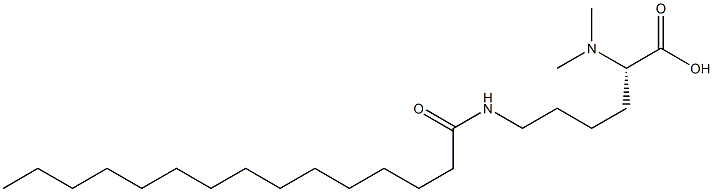 N6-Pentadecanoyl-N2,N2-dimethyllysine Struktur