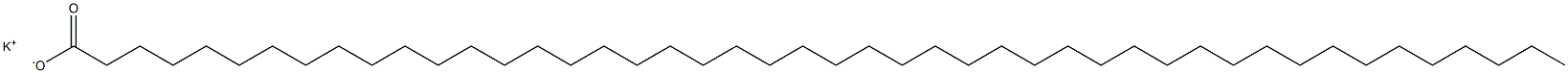 Hexatetracontanoic acid potassium salt Struktur