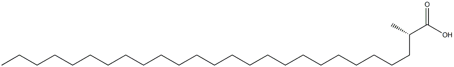 [S,(+)]-2-Methylhexacosanoic acid Struktur