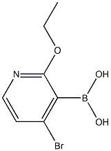 4-Bromo-2-ethoxypyridine-3-boronoc acid Struktur