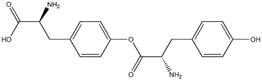 TYROSINE-TYROSINE Struktur