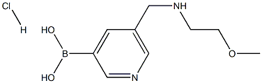 5-((2-methoxyethylamino)methyl)pyridin-3-ylboronic acid HCl Struktur