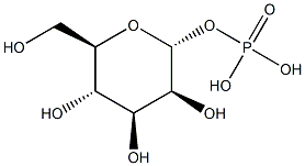 a-D-Mannose-1-phosphate Struktur