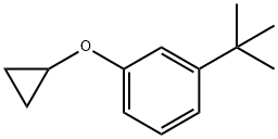 Benzene, 1-(cyclopropyloxy)-3-(1,1-dimethylethyl)- Struktur