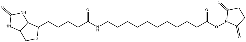 Biotin-SLC-NHS Ester Struktur