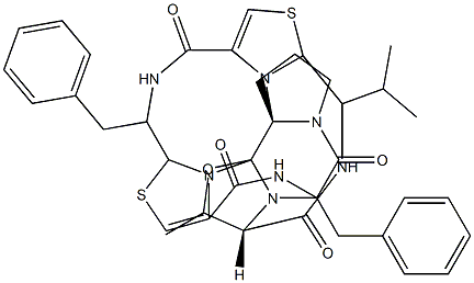 lissoclinamide 8 Struktur