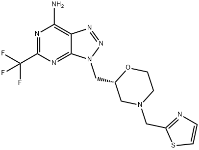 PF 4957325 Struktur