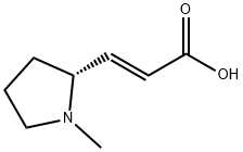 2-Propenoic acid, 3-[(2R)-1-methyl-2-pyrrolidinyl]-, (2E)- Struktur