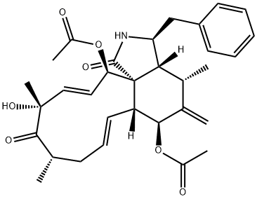 ZYGOSPORINF Struktur