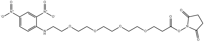 DNP-PEG4-NHS ester Struktur