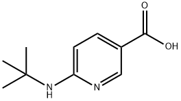 3-Pyridinecarboxylic acid, 6-[(1,1-dimethylethyl)amino]- Struktur