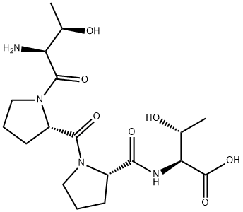 NT 13 Struktur