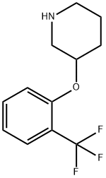 3-[2-(trifluoromethyl)phenoxy]piperidine Struktur