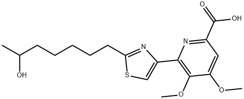 WS 75624 B Struktur