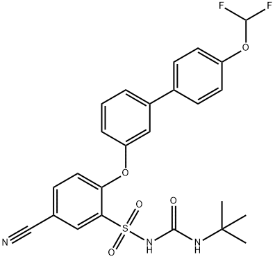 NTP-42 Struktur