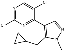 2,5-dichloro-4-(5-(cyclopropylmethyl)-1-methyl-1H-pyrazol-4-yl)pyrimidine(WXC08875) Struktur