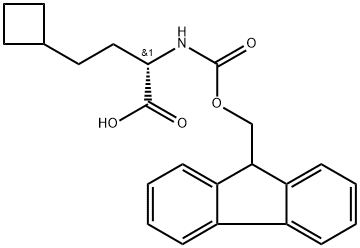 (S)-2-(Fmoc-amino)-4-cyclobutylbutanoic acid Struktur