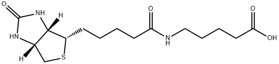 Pentanoic acid, 5-[[5-[(3aS,4S,6aR)-hexahydro-2-oxo-1H-thieno[3,4-d]imidazol-4-yl]-1-oxopentyl]amino]- Struktur