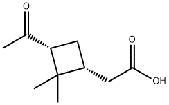 (1R)-3α-Acetyl-2,2-dimethylcyclobutane-1α-acetic acid Struktur