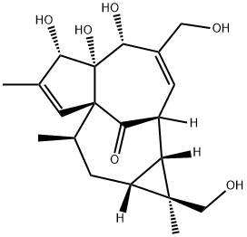 1H-2,8a-Methanocyclopenta[a]cyclopropa[e]cyclodecen-11-one, 1a,2,5,5a, 6,9,10,10a-octahydro-5,5a,6-trihydroxy-1,4-bis(hydroxymethyl)-1,7,9-tr imethyl-, [1S-(1alpha,1aalpha,2alpha,5beta,5abeta,6beta,8aalpha,9alpha ,10aalpha)]- Struktur