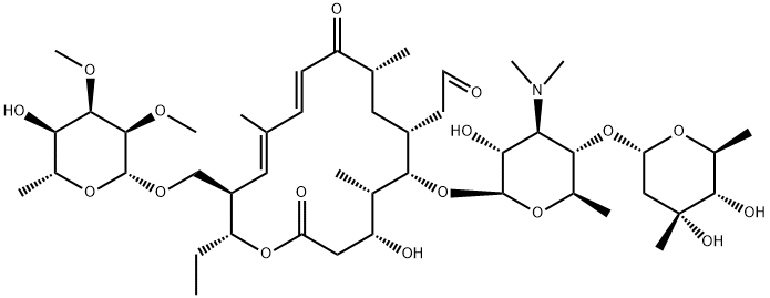 Tylonide Struktur