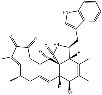 CHAETOGLOBOSING Struktur