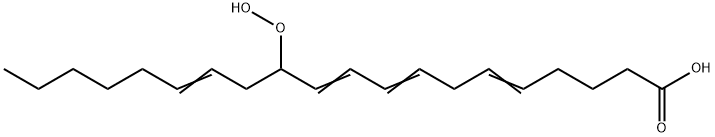 12-HPETE Struktur