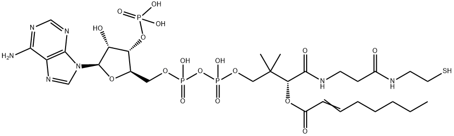 S-2-Octenoate coenzyme A Struktur