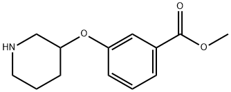 methyl 3-(piperidin-3-yloxy)benzoate Struktur