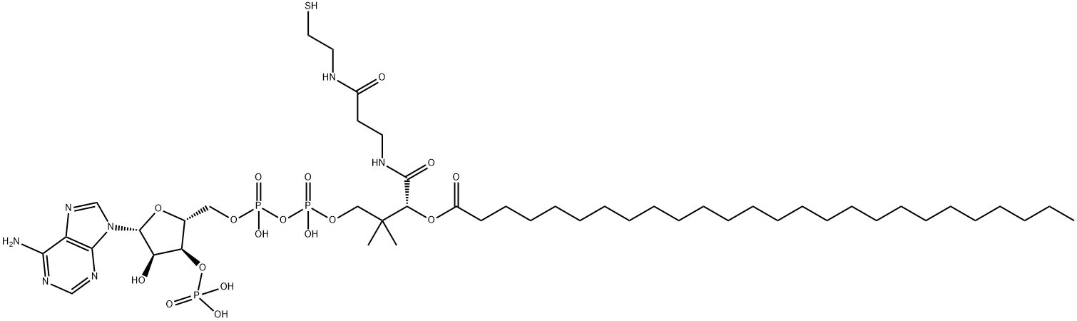 Coenzyme A, S-hexacosanoate Struktur