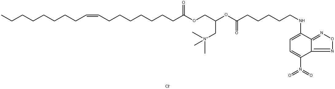 FLUORESCENT DOTAP Struktur