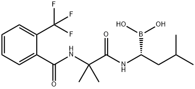 ML 604440 Struktur