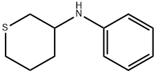 2H-Thiopyran-3-amine, tetrahydro-N-phenyl- Struktur