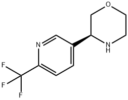 (3S)-3-[6-(trifluoromethyl)-3-pyridinyl]-Morpholine Struktur