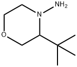 4-Morpholinamine, 3-(1,1-dimethylethyl)- Struktur