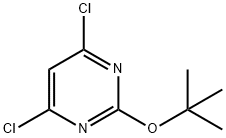 2-tert-butoxy-4,6-dichloropyrimidine Struktur