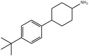 4-(4-tert-butylphenyl)cyclohexan-1-amine Struktur