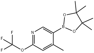 4-methyl-5-(tetramethyl-1,3,2-dioxaborolan-2-yl)-2-(trifluoromethoxy)pyridine Struktur