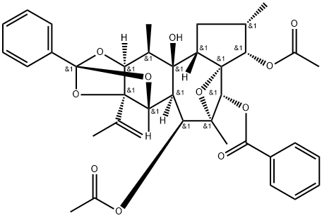 Trigothysoid L Struktur