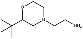 4-Morpholineethanamine, 2-(1,1-dimethylethyl)- Struktur