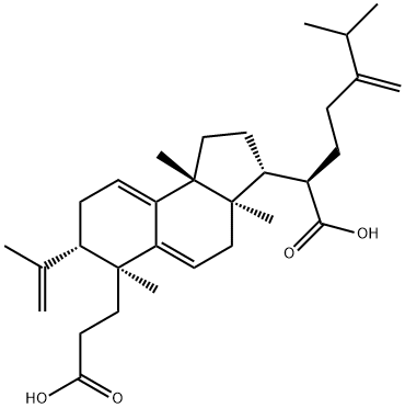 1H-Benz[e]indene-6-propanoic acid, 3-[(1R)-1-carboxy-5-methyl-4-methylenehexyl]-2,3,3a,4,6,7,8,9b-octahydro-3a,6,9b-trimethyl-7-(1-methylethenyl)-, (3R,3aR,6S,7S,9bR)- Struktur