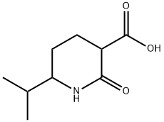 2-oxo-6-(propan-2-yl)piperidine-3-carboxylic acid, Mixture of diastereomers Struktur