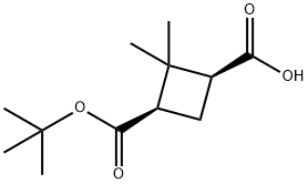 (1S,3R)-3-(tert-butoxycarbonyl)-2,2-dimethylcyclobutanecarboxylicacid(WX192116) Struktur