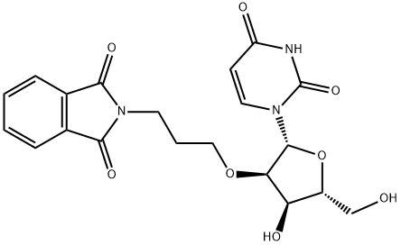 Uridine, 2'-O-[3-(1,3-dihydro-1,3-dioxo-2H-isoindol-2-yl)propyl]- (9CI) Struktur